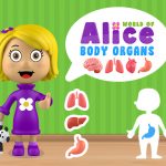 World of Alice   Body Organs